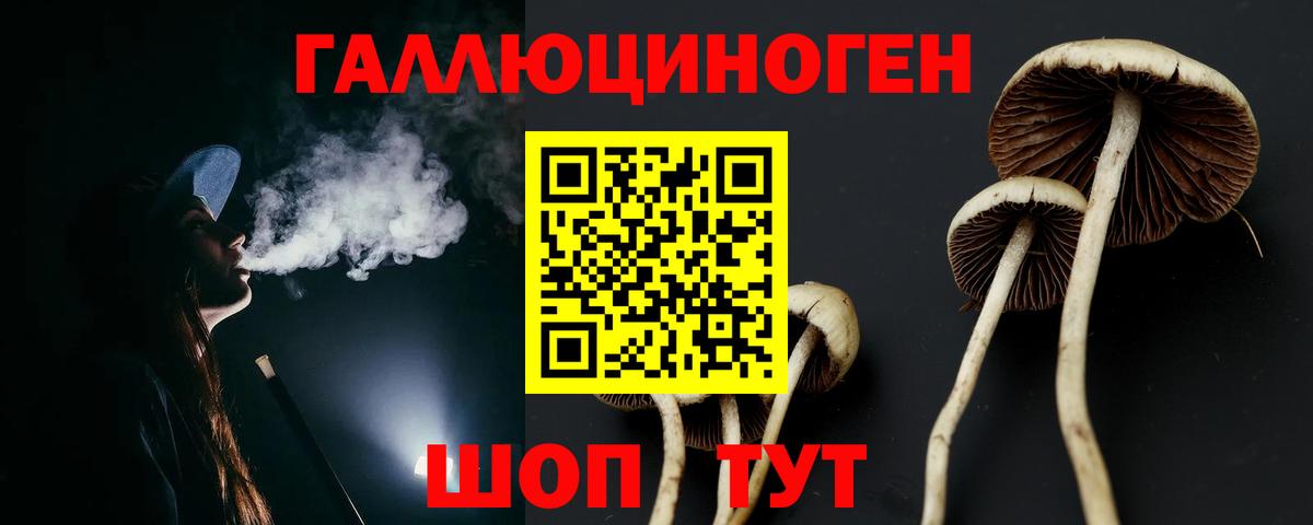 Псилоцибиновые грибы Cubensis Богданович
