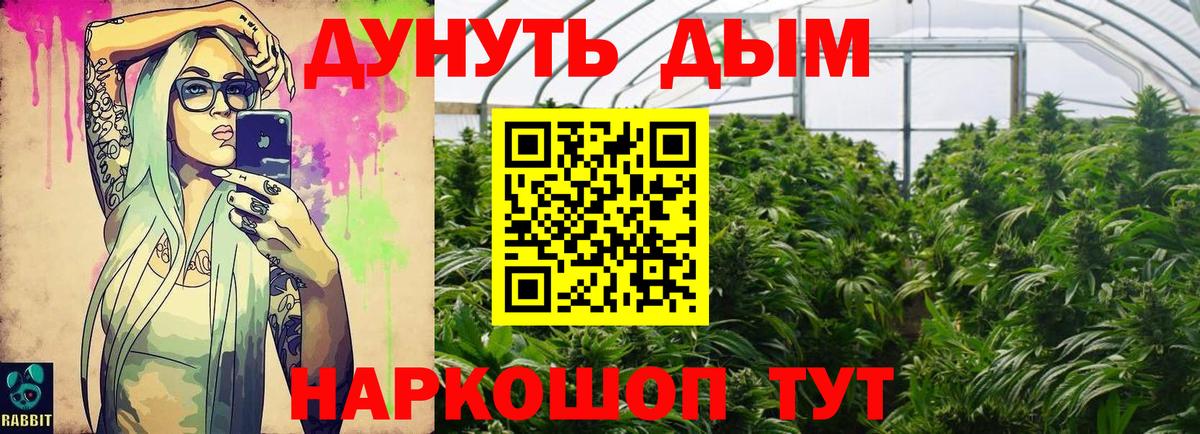 Каннабис план  Шишки марихуана тримм  Богданович  Вход с VPN  МАРИХУАНА ГИДРОПОН 